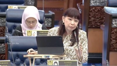 林慧英：确保特定群体受惠 政府拟分阶段落实糖、米、食用油补贴