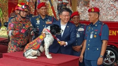 每年272人溺毙　倪可敏：培训50万中小学生游泳