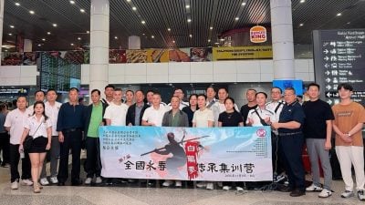 永春白鹤拳传承集训营启幕   10中国师傅抵马授艺