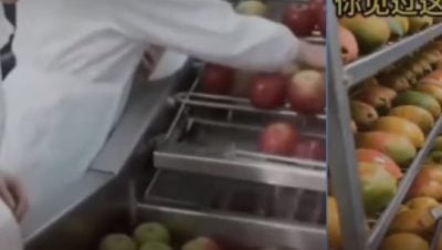 蔬菜水果泡水会变色？ 查核网：AI生成影片