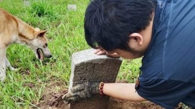 “沉埋八十年的忠魂 ” 李三路义山抗日烈士杨开墓重见天日