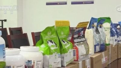 河南侦破“大头娃娃”假奶粉 捕12人