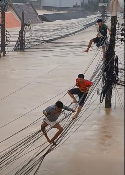 泰南大水灾／触电和溺水间 3灾民攀电线逃生“泰吓人”
