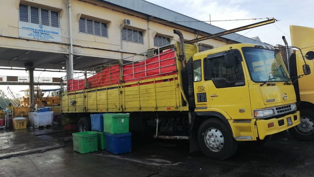 渔获丰收惨遇冰块短缺，逾30公吨海产无法保鲜最终沦为饲料。