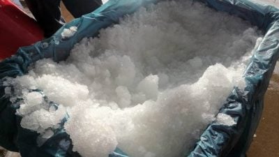 关丹渔获丰收遇冰块短缺 逾30公吨鲜鱼变质沦饲料