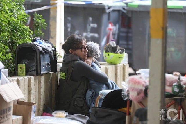 港5级大火|视频|爱护动物协会设宠物认领区 1单位10猫狗全获救与主人重逢