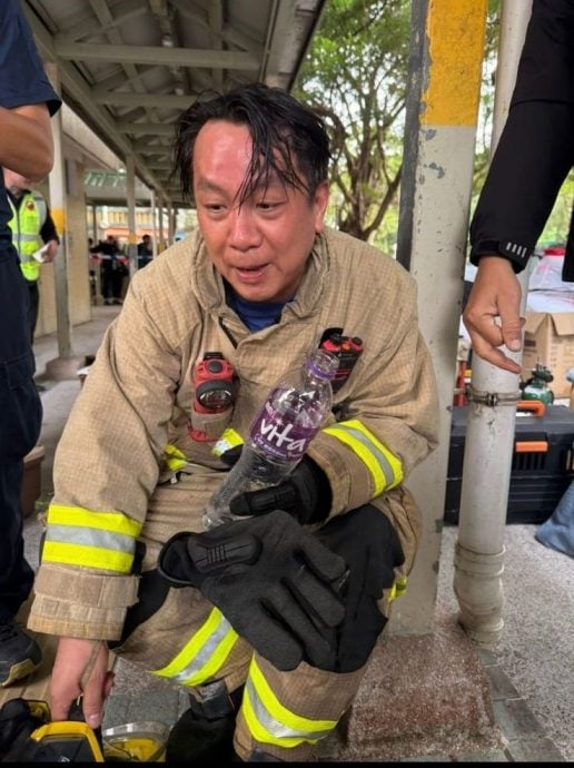 港5级大火|视频|爱护动物协会设宠物认领区 1单位10猫狗全获救与主人重逢