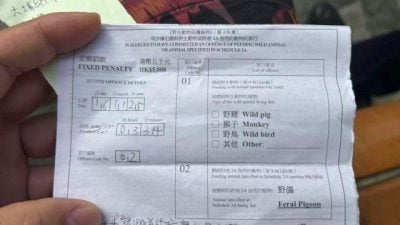 游港注意！中国女生做1事被罚款  哀叹：在家乡可以随意做啊