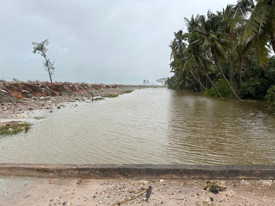 潮水冲破海堤 适耕庄住宅淹水 稻田一片狼藉