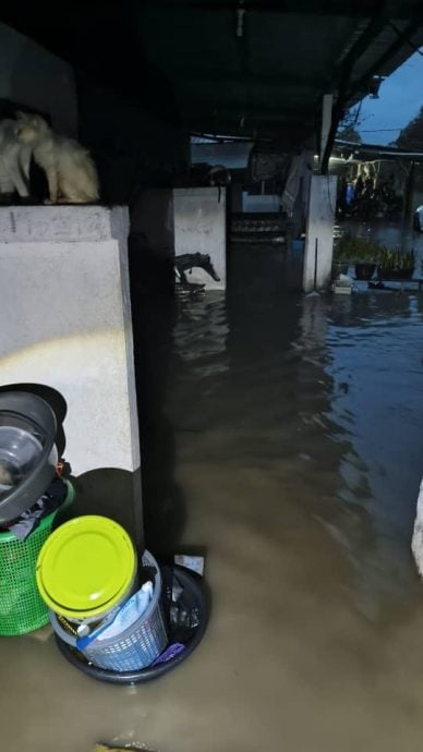 潮水冲破海堤 适耕庄住宅淹水 稻田一片狼藉