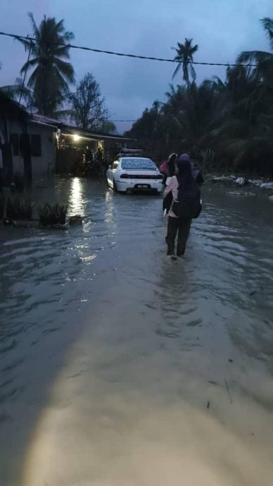 潮水冲破海堤 适耕庄住宅淹水 稻田一片狼藉