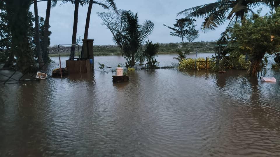 潮水冲破海堤 适耕庄住宅淹水 稻田一片狼藉