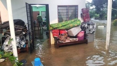 潮水冲破海堤 适耕庄住宅淹水 稻田一片狼藉