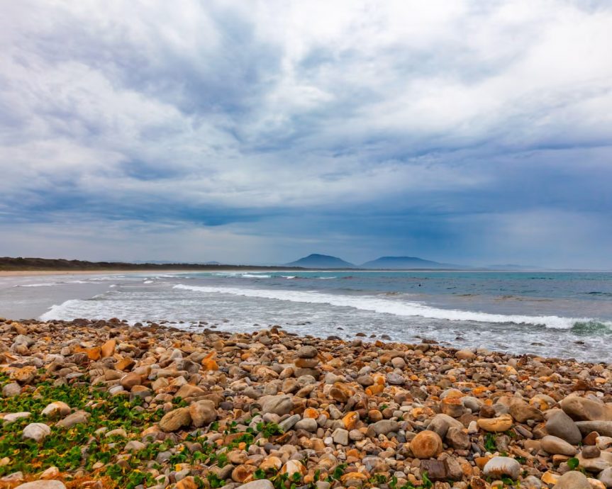 澳洲东部海滩游客遭鲨鱼攻击　1死1重伤