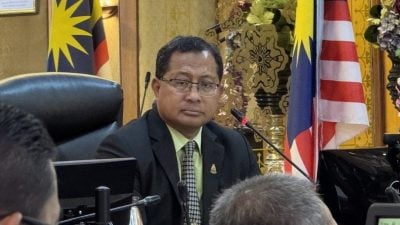 灵市厅常月会议 | 万达镇中央公园发展暂搁置   市厅：园艺工程照跑 