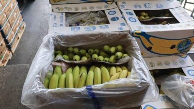 物价高涨引发民怨 特朗普降低咖啡香蕉等多项进口食品关税