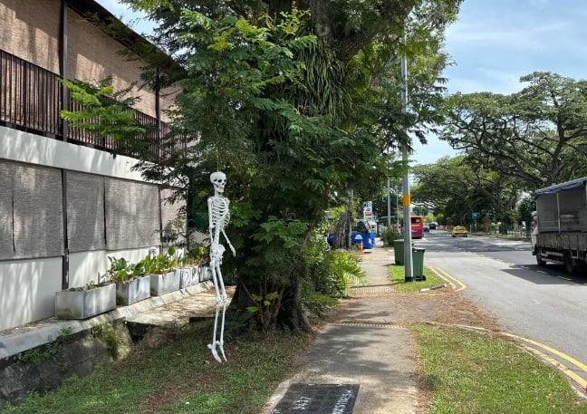 **狮城二三事**柔：万圣节骷髅头忘记“下班” 居民：太恐怖！