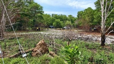 男子吊毙树丛中 警方动用大批警力展开调查