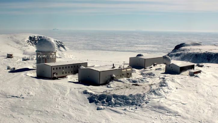 男子在北极基地拍摄北极熊 遭两只北极熊夹击咬死