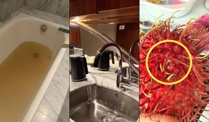 男子斥隆五星酒店卫生欠佳 “一晚4500布满灰尘 水质浑浊”