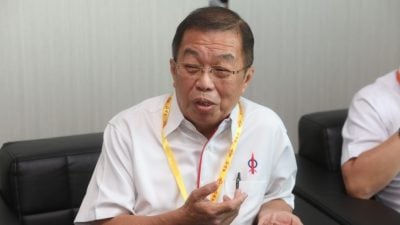 直区行动党大会｜60党庆或遇全国大选 陈国伟：让人见识行动党的团结