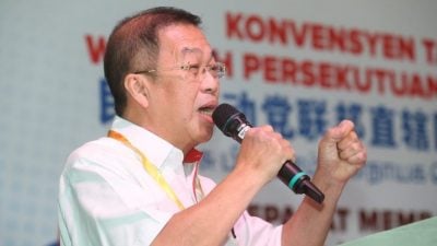 直区行动党大会｜隆应恢复民选市长 陈国伟:符合希盟大选承诺