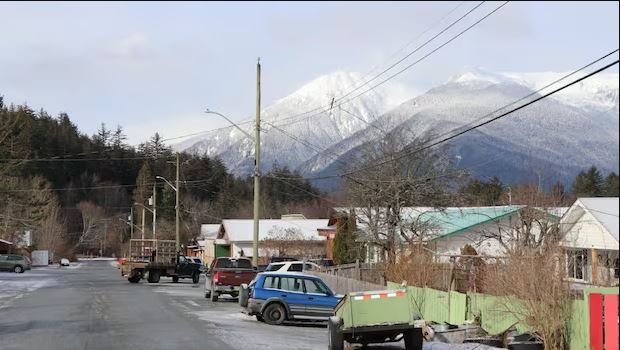 看世界/加拿大熊袭 20师生遭攻击2人命危
