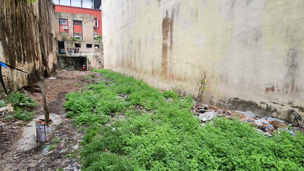 硬手段奏效！芙蓉市区荒废店屋业主陆续清理