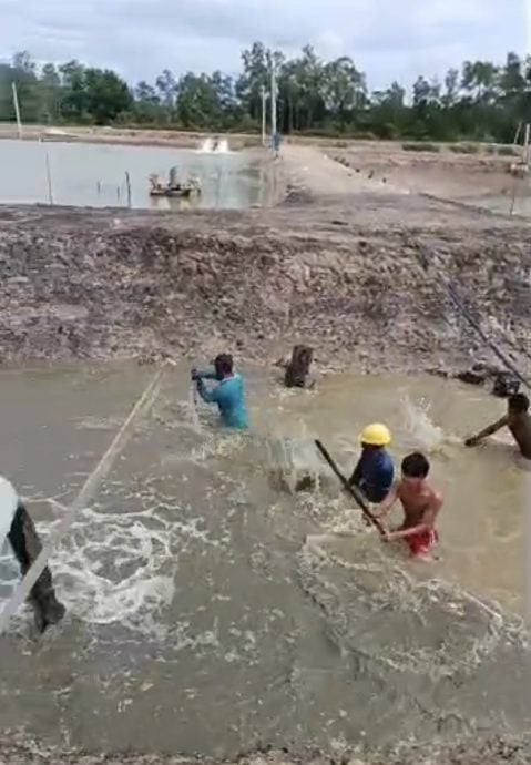 突发大水灾 心血随水漂走 曼绒海产养殖损失惨重