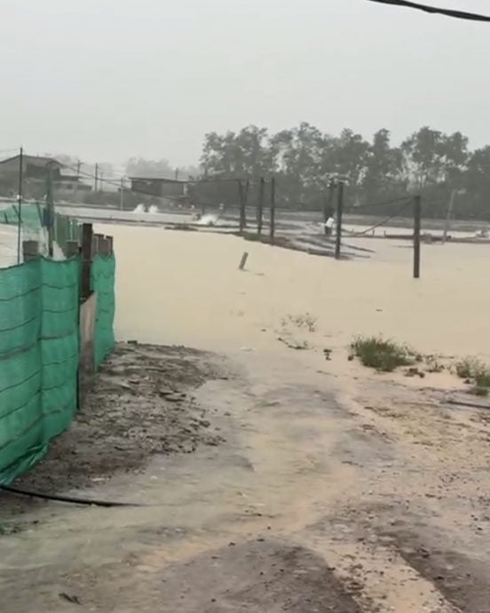 突发大水灾 心血随水漂走 曼绒海产养殖损失惨重