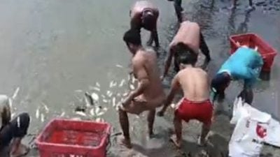 突发大水灾 心血随水漂走  曼绒海产养殖损失惨重