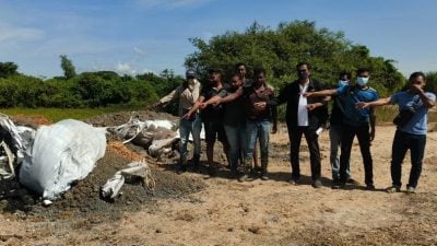 端洛发生牛只集体死亡 牛主居民盼当局查源头