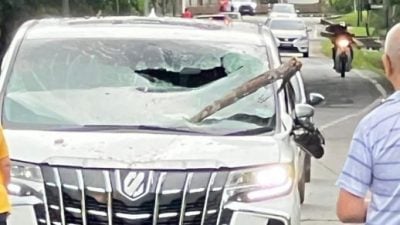 腐枝疑遭强风吹掉 砸中休旅车幸无人伤