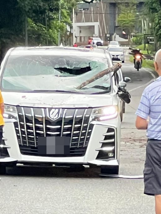腐枝疑遭强风吹掉 砸中休旅车幸无人伤