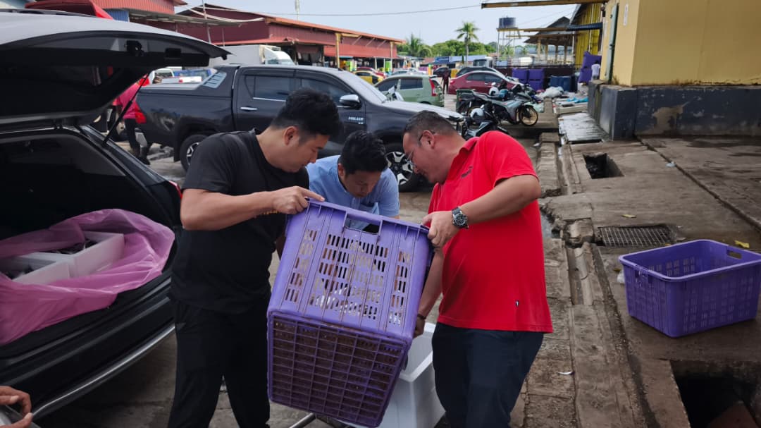 获热心鱼商捐赠，陈俊广派发250公斤鲜鱼予弱势群体。