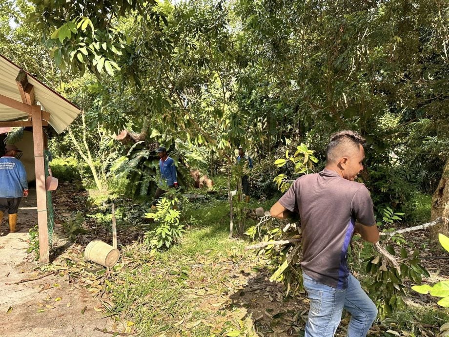 蔡求伟协助处理两户受树倒波及的善后工作