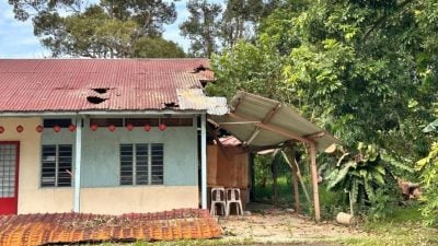 树倒波及两户 蔡求伟协调善后工作