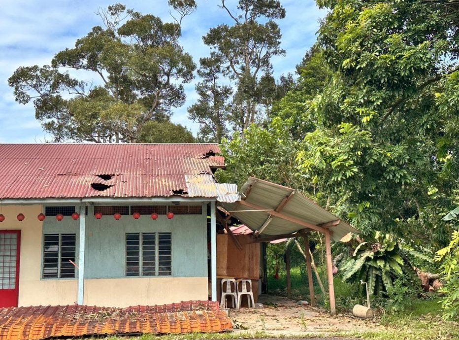 蔡求伟协助处理两户受树倒波及的善后工作