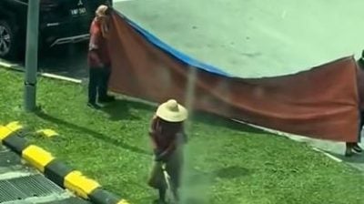 视频|割草工人用帆布防护车窗！ 贴心举措赢得网民好评