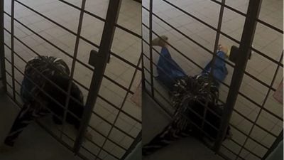 视频|女贼贴地使劲勾包裹 结果只偷到口腔药膏！