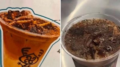 视频 | 昆虫博物馆推“蟑螂咖啡”！ 一杯RM26 争议声中下架