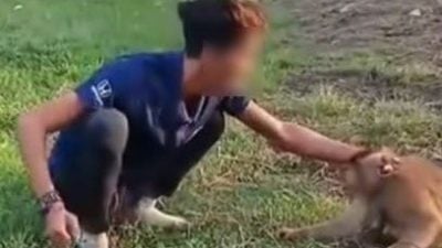 视频|狠掐殴打扇耳光！男子虐猴引众怒 动物协会促严惩