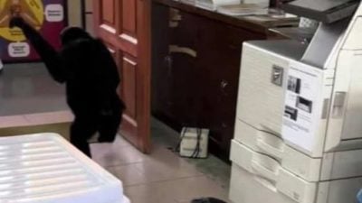 视频｜长臂猿闯学校教师办公室 网民笑称：像回自己家