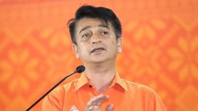 诚信党大会| 法依兹：冷静看待是否展延党选  应专注赢下甲柔砂选