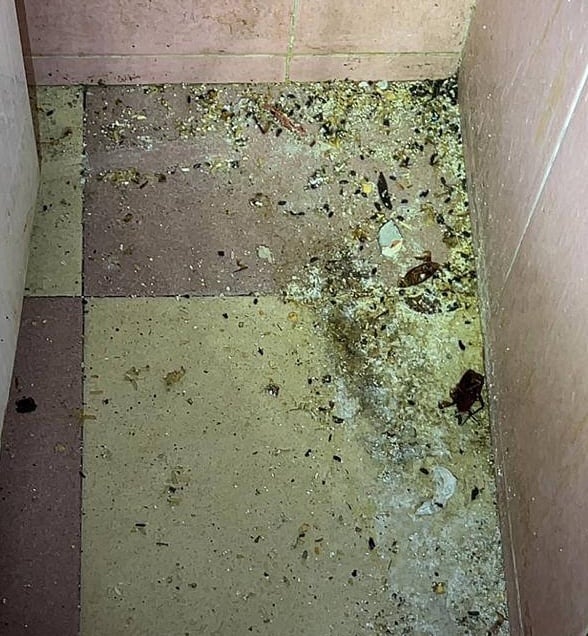 请签发-大都会:再有餐室太脏被封/5图