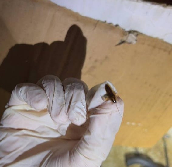 请签发-大都会:再有餐室太脏被封/5图