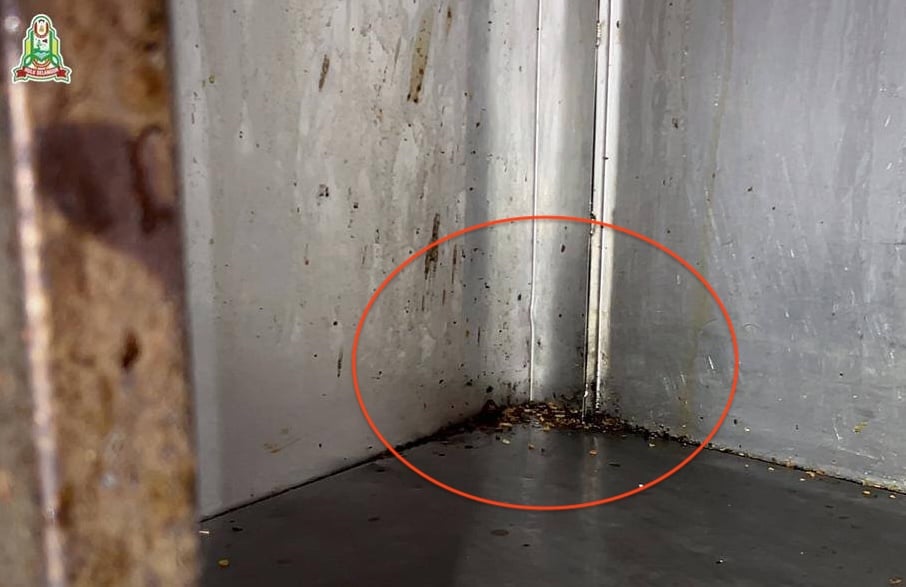 请签发-大都会:再有餐室太脏被封/5图