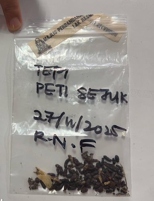 请签发-大都会:封餐馆 开6罚单/5图