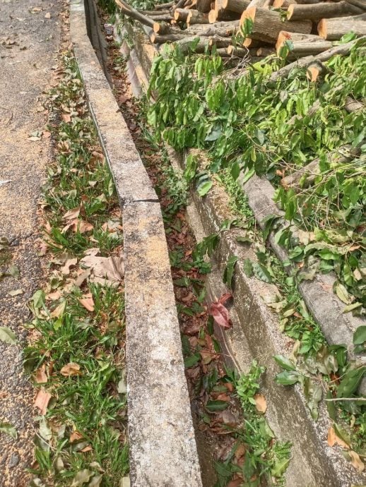 请签发/大都会/李锡稳:MBDK耗20万提升社区公园