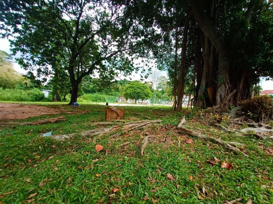 请签发/大都会/李锡稳:MBDK耗20万提升社区公园